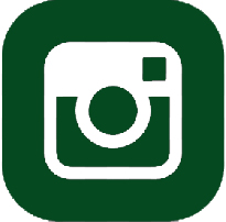 Instagram Icon